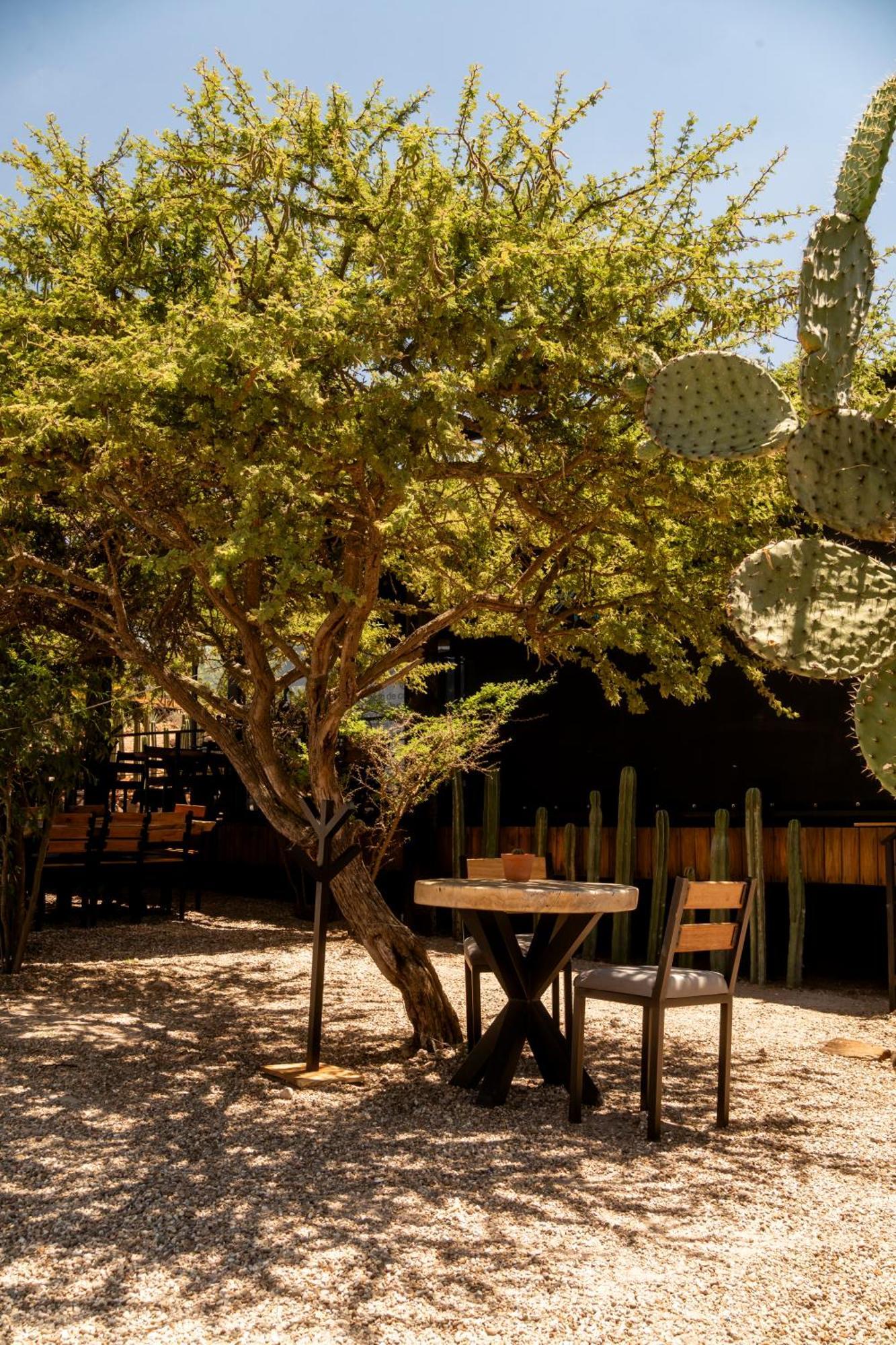 Hotel Coyote Alcocer Bagian luar foto